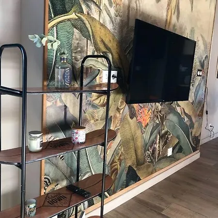 Apartment Appart Cosy A Deux Pas De La Comedie Montpellier